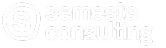 Semesta Consulting