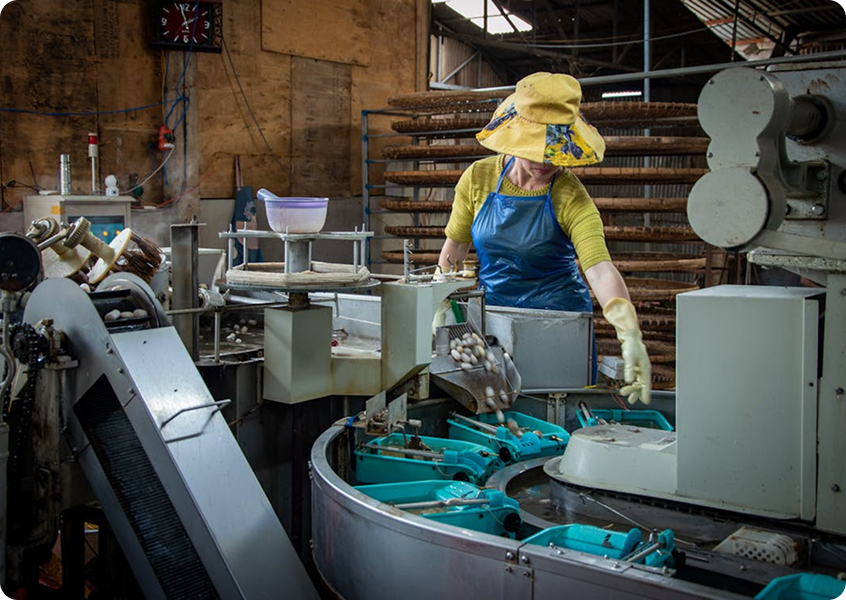 People Development: Building the Future Workforce for the Resources Industry